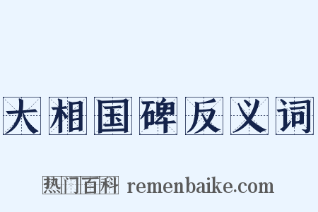大相国碑反义词是什么意思的图片